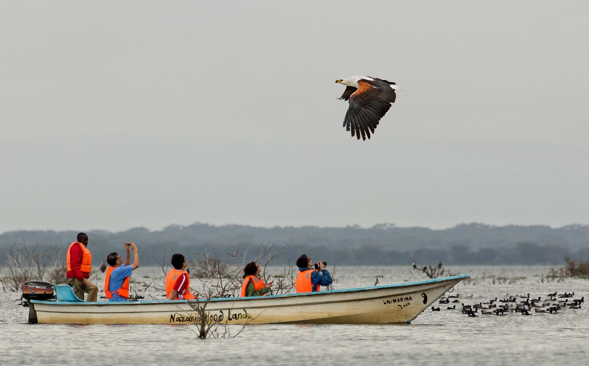 10 Best Kenya Travel Experiences You Should Have at Least Once
